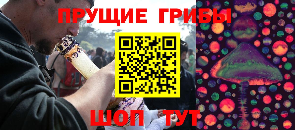 Псилоцибиновые грибы мицелий Димитровград